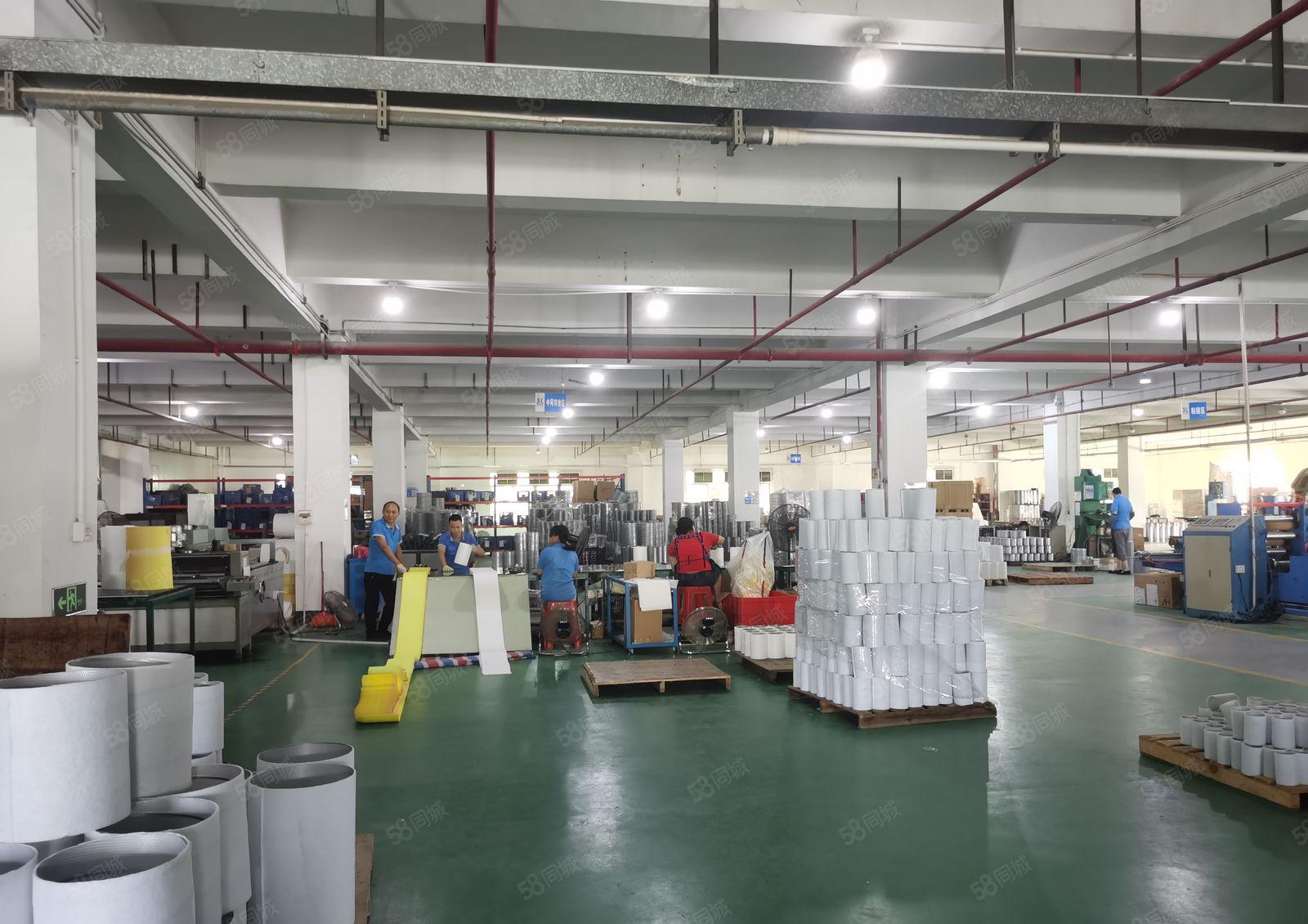 万江区望牛墩道滘洪梅镇原房东楼上单层3600平原房东厂房出租