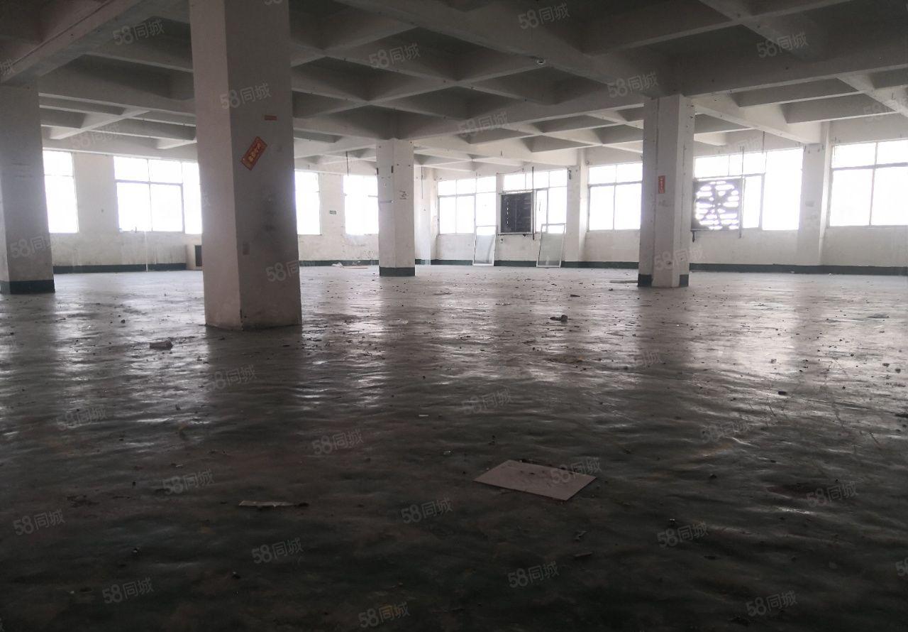 万江新出楼上厂房，总面积4000平方，有宿舍一栋按需