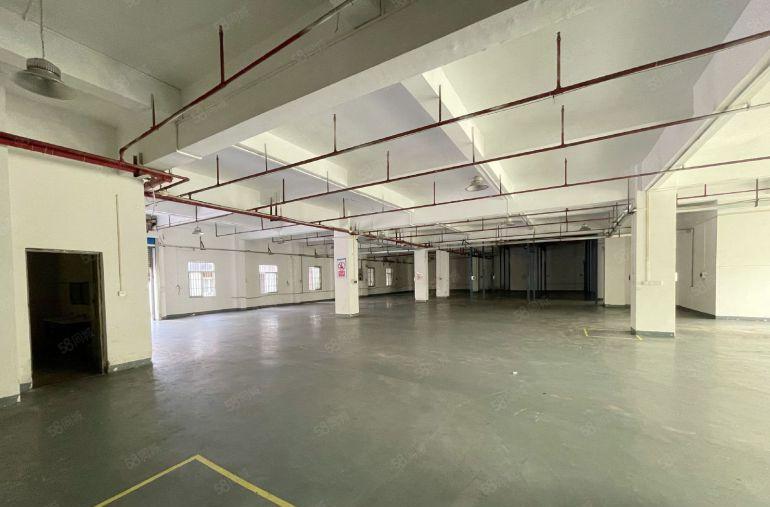 万江滘联一楼1100平方标准厂房出租水电齐全现成办公室