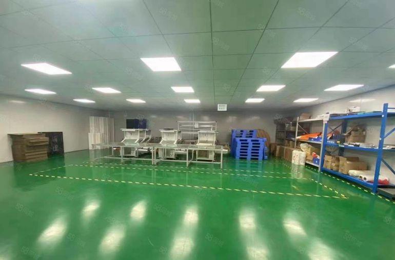 10元可谈万江原房东独院厂房1000平豪华装修无尘车间可分租