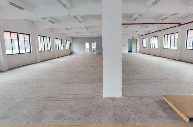 万江金泰厂房776.5平房东物业招租非中介层高2吨货梯东南向