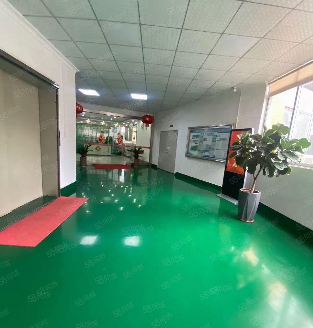 万江原房东独院标准厂房一二楼低价出租，可分租单一层