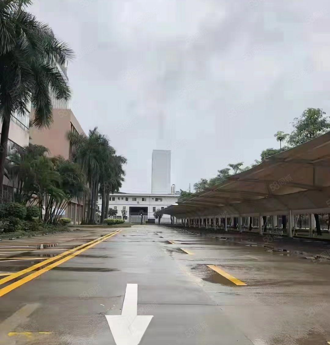 新和简沙洲环城路外证件齐全包办环评大小面积按需，配电按需