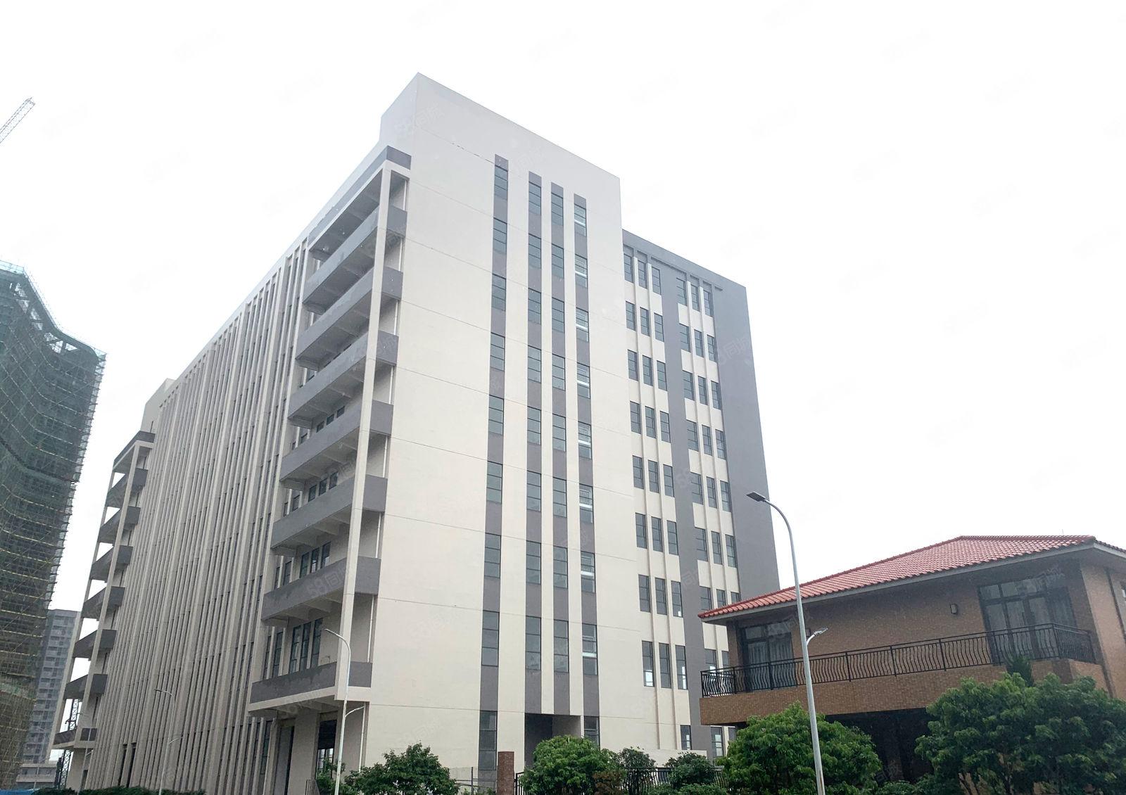 物业直租万江港口大道边产业园厂房写字楼 价格面议