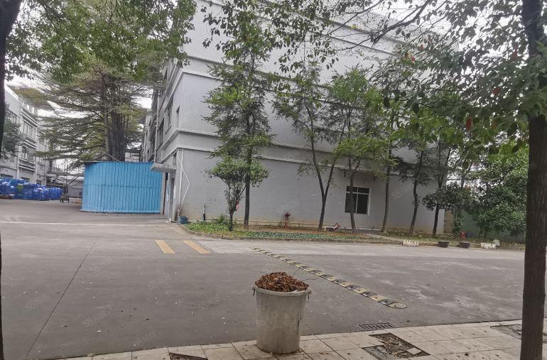 万江新村环城路边高速出口5200平原房东超大空地红本厂房出租