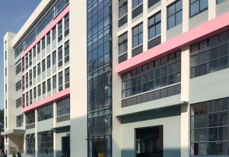 秒租8元）万江标准花园靓厂房2楼1000或3楼2000平方