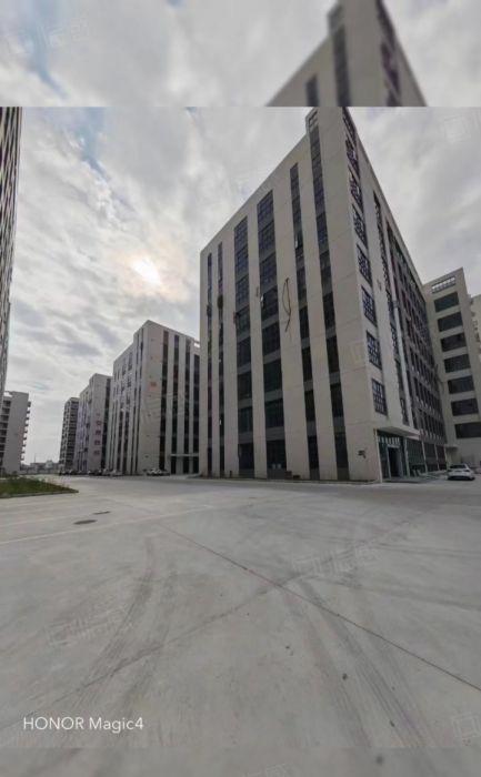 万江新和工业区全新高标准厂房出租