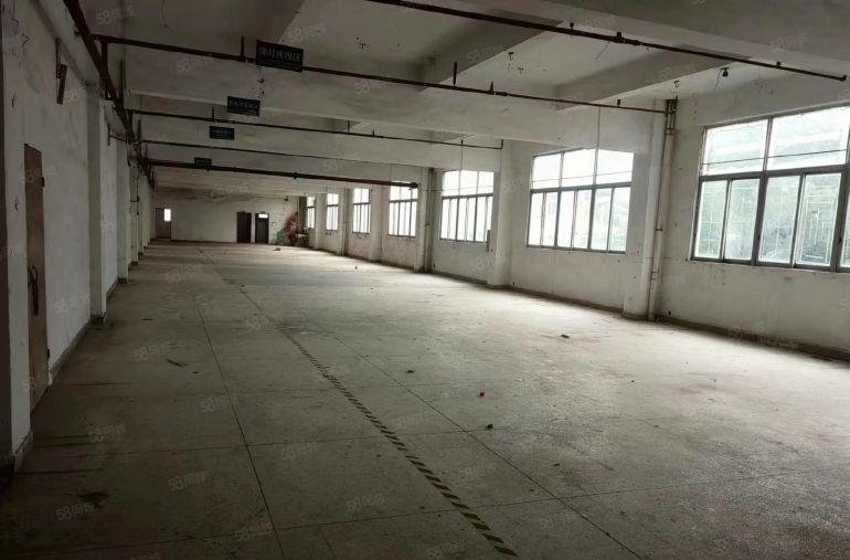 万江独门独院原房东多层厂房出租，厂房形象好，价格优惠