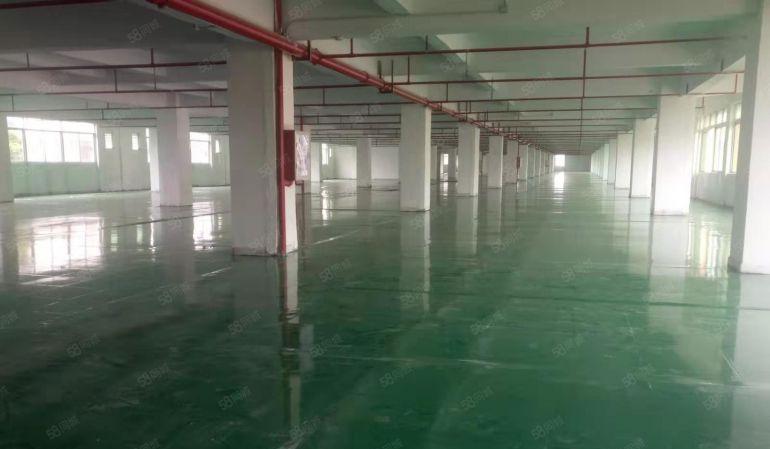 万江新和原房东楼房独院10000平米招租中