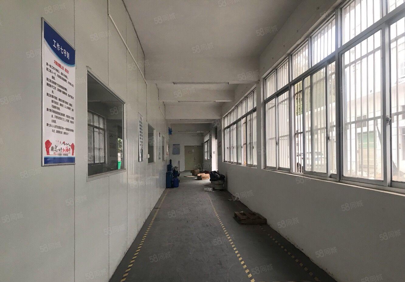 万江原房东独院标准厂房5000平方低价出租，一楼可分租单一层