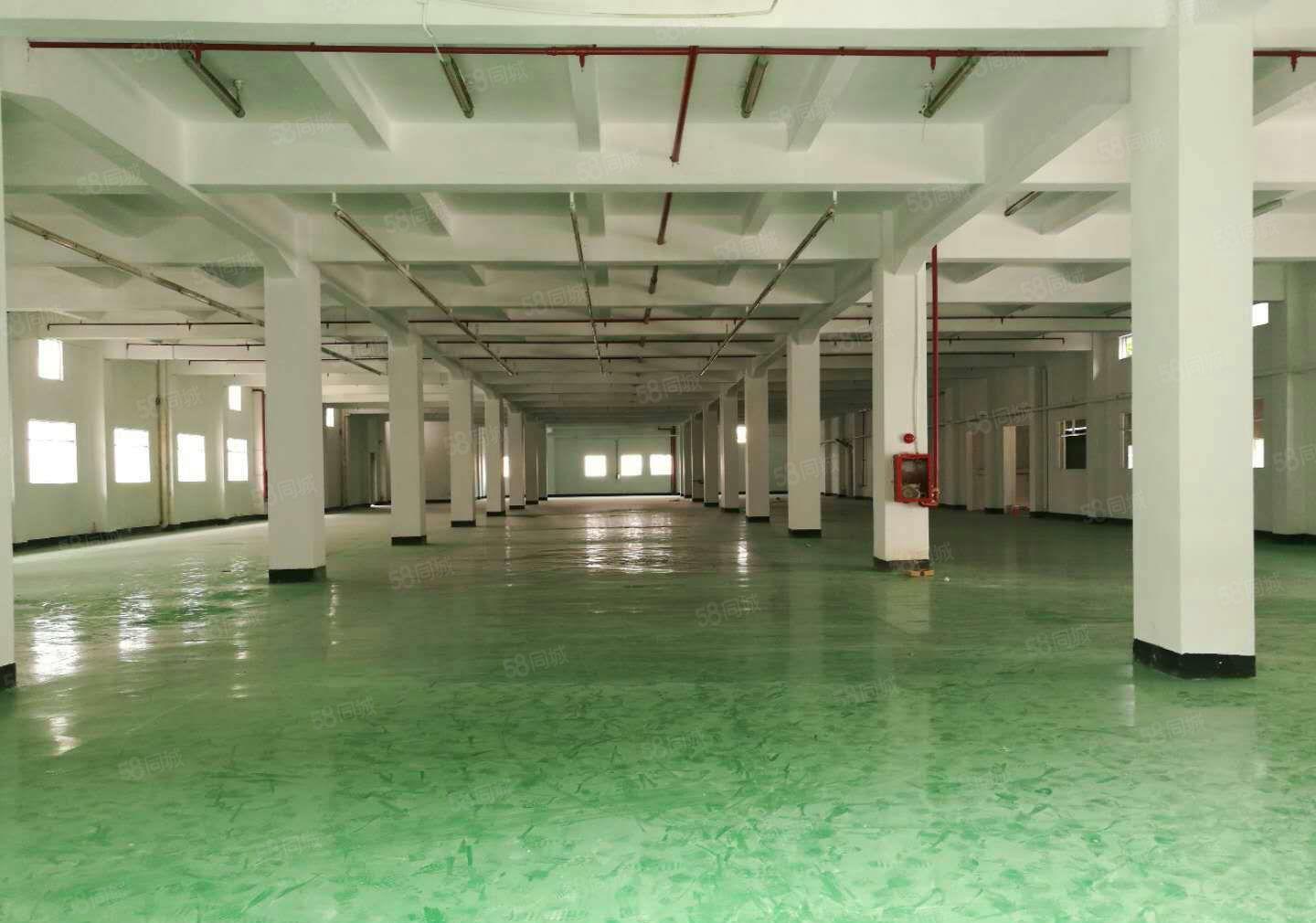 新和工业园新出1200平米2楼厂房招租