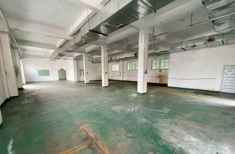 万江严屋一楼650平方标准厂房出租有现成办公室水电齐全空地大