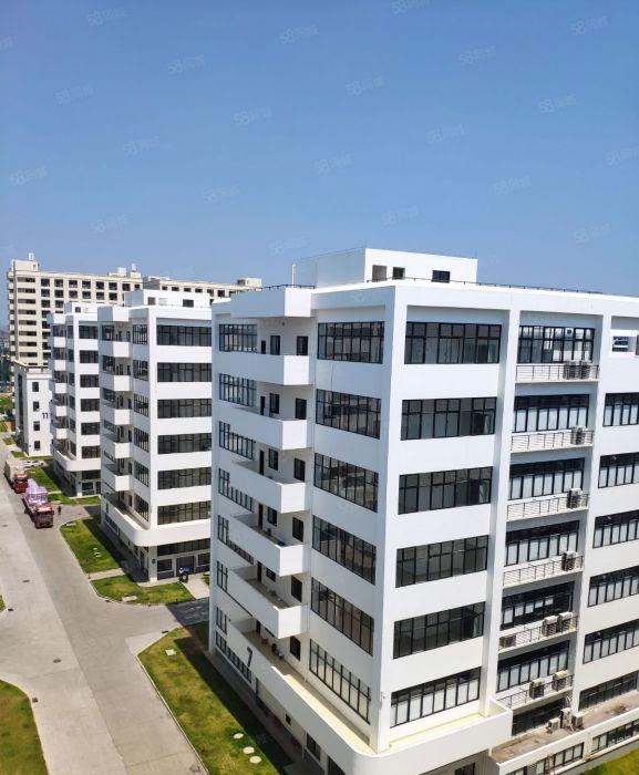 万江新村6000平方全新独栋厂房低价出租，近高速，可分租