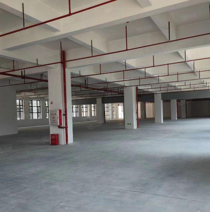 万江新和工业区全新高标准厂房出租