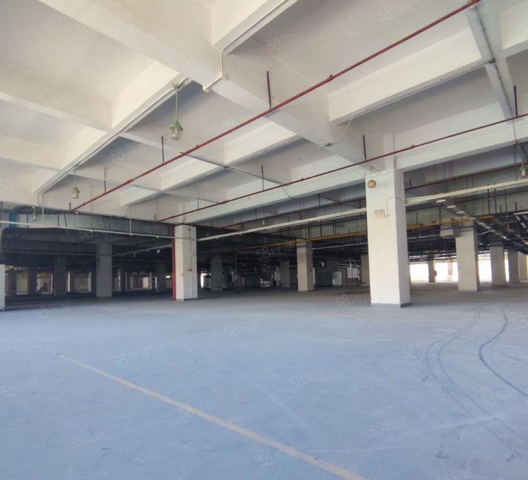 万江南城仓库大平层标准厂房两台3吨货梯电容大2个标准卸货平台