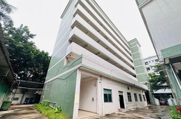 万江简沙洲一手房东厂房出租独门独院8200平有红本可办环评