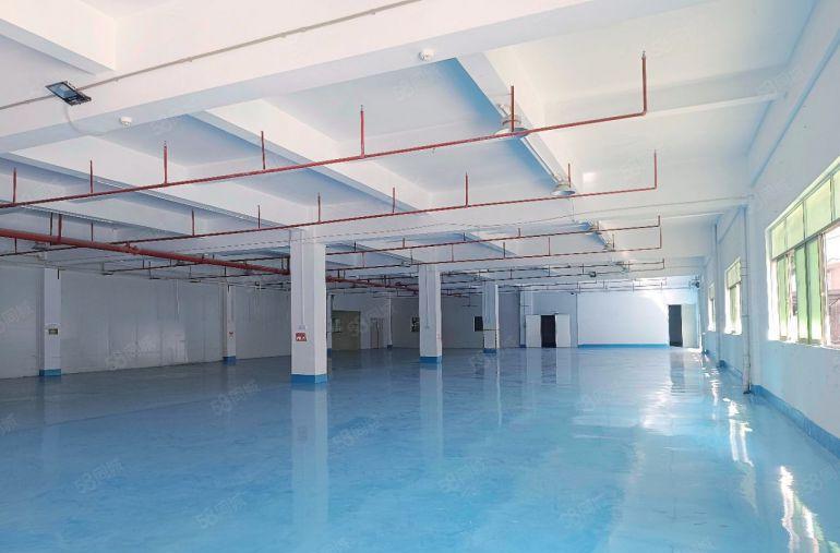 万江莞穗路原房东独院厂房出租，现成办公室装修拎包入驻