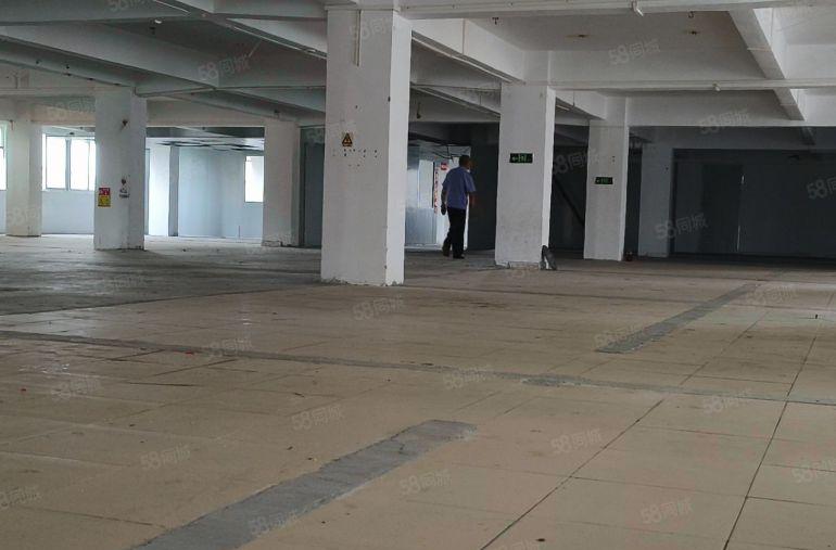 万江新和精装修厂房出租，可做电子仓储直播等行业