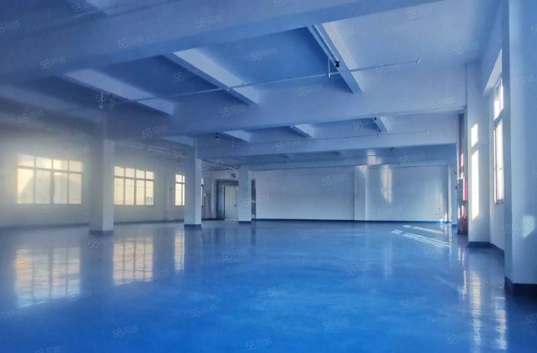 万江简沙洲新出独门独院8300平方厂房出租