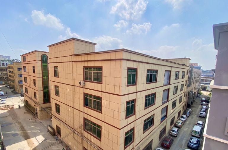 独院厂房出租三层全新装修可办环评万江近港口大道