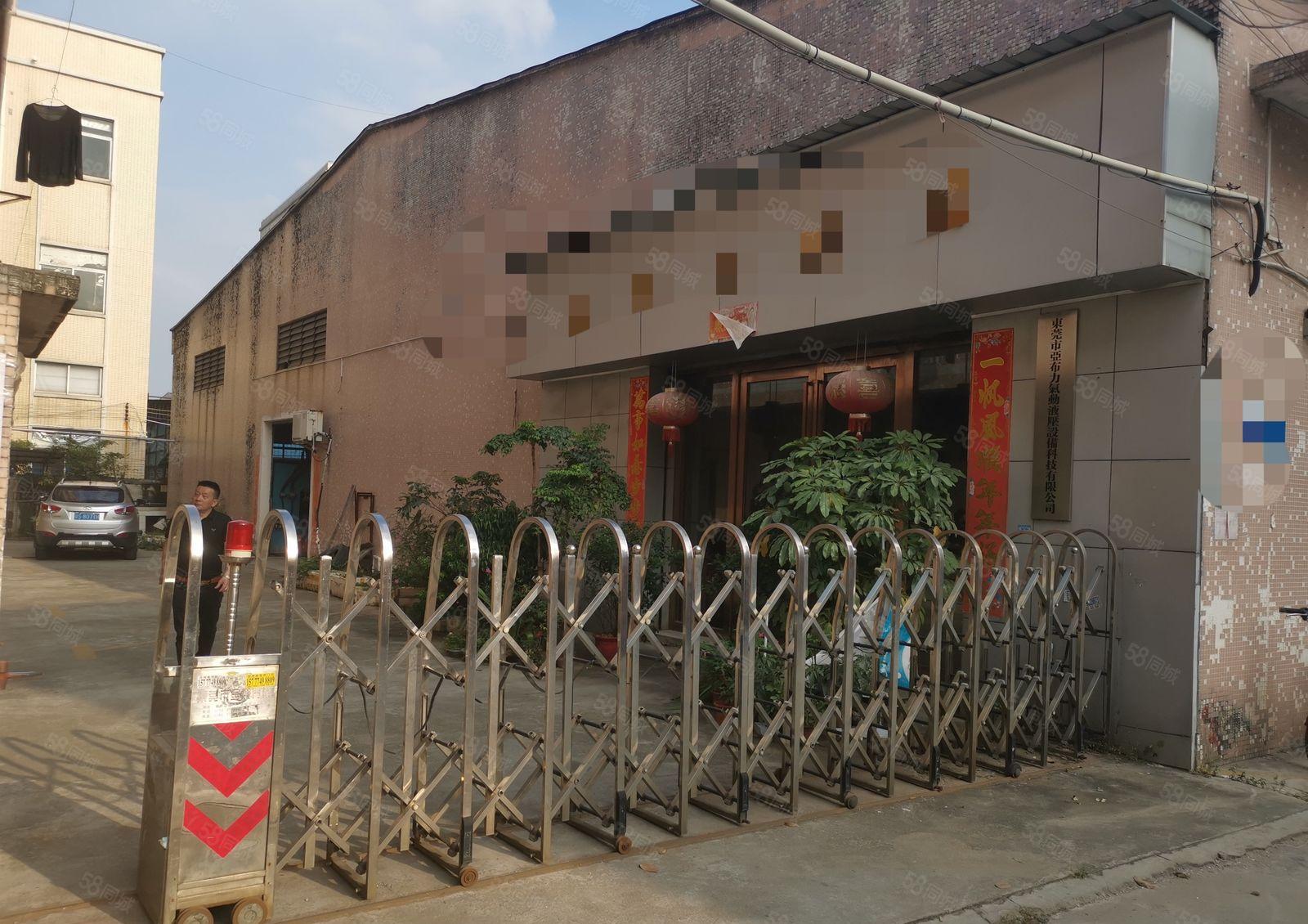 万江大汾新出独院单一层厂房2360平方，滴水7米