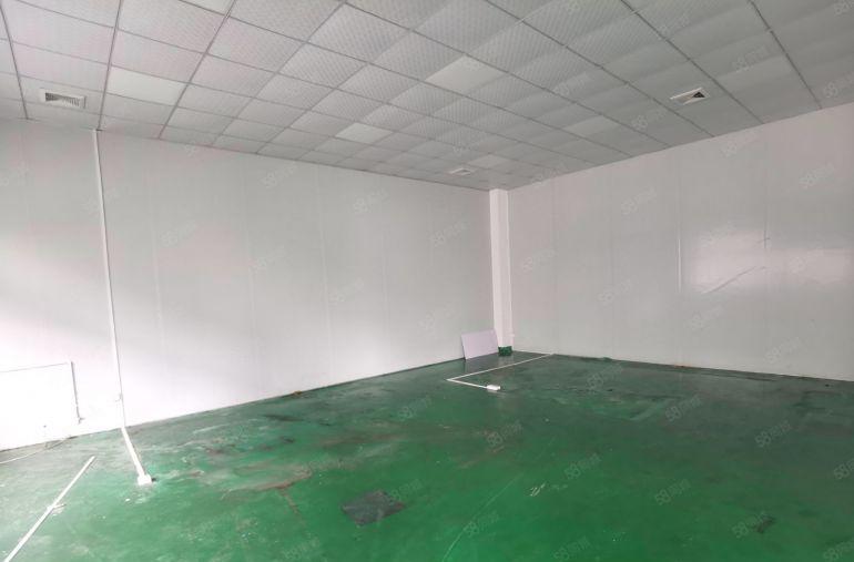 万江石美工业区新出标准厂房一楼800平方可以分租