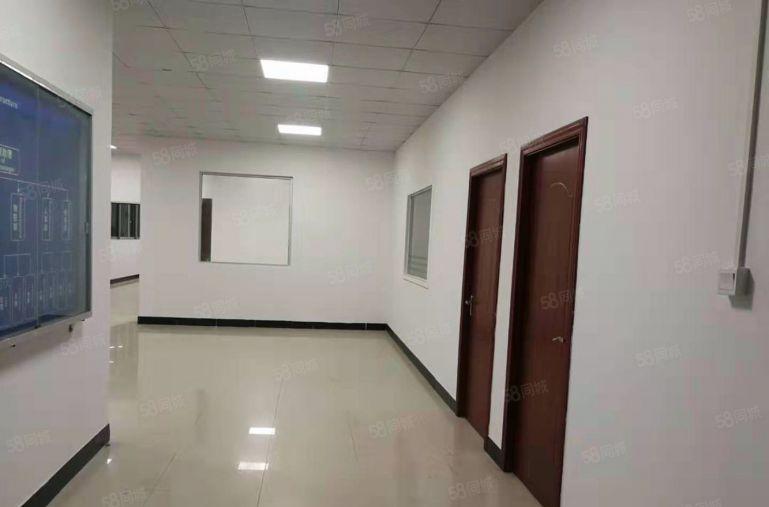 万江环城路附近原房东单一层独院1000平米出租