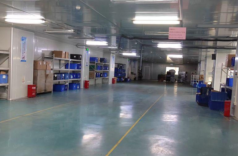 简沙洲新出1600平米标准一楼厂房招租