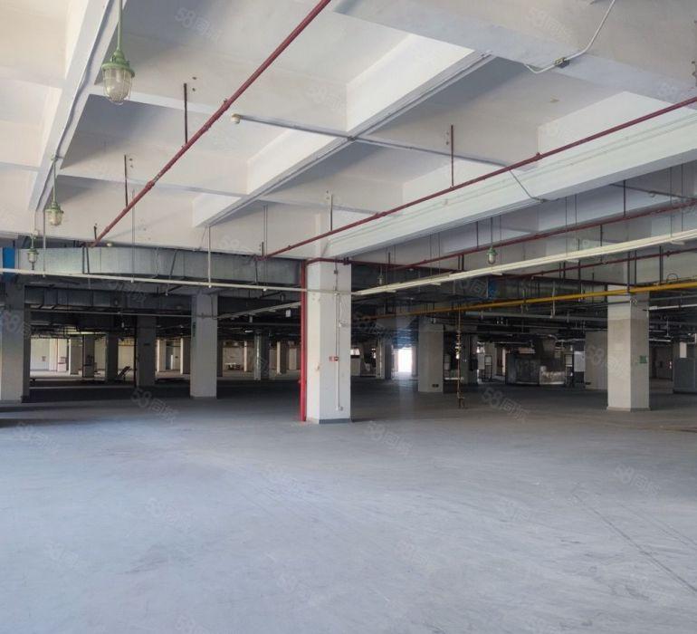 万江南城仓库大平层标准厂房两台3吨货梯电容大2个标准卸货平台