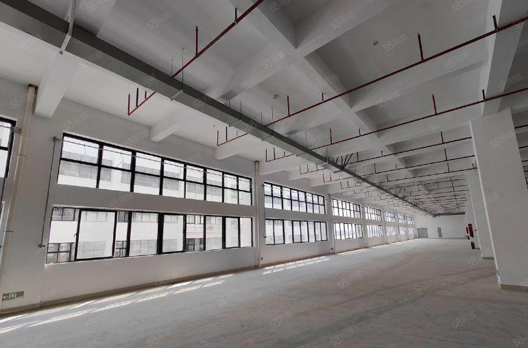 万江中创汇智盈科技园20000方全新独栋厂房出租，可分租
