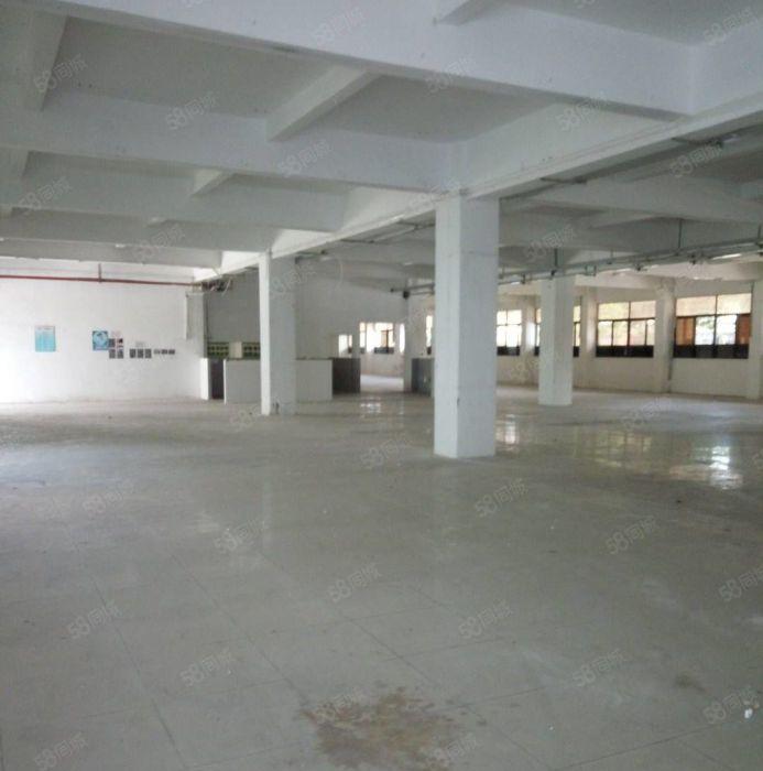 万江新出独院两层2000平方厂房，，可办环评