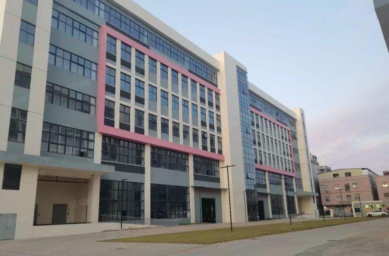 万江大量一楼厂房600平方，1000平方，1500平方