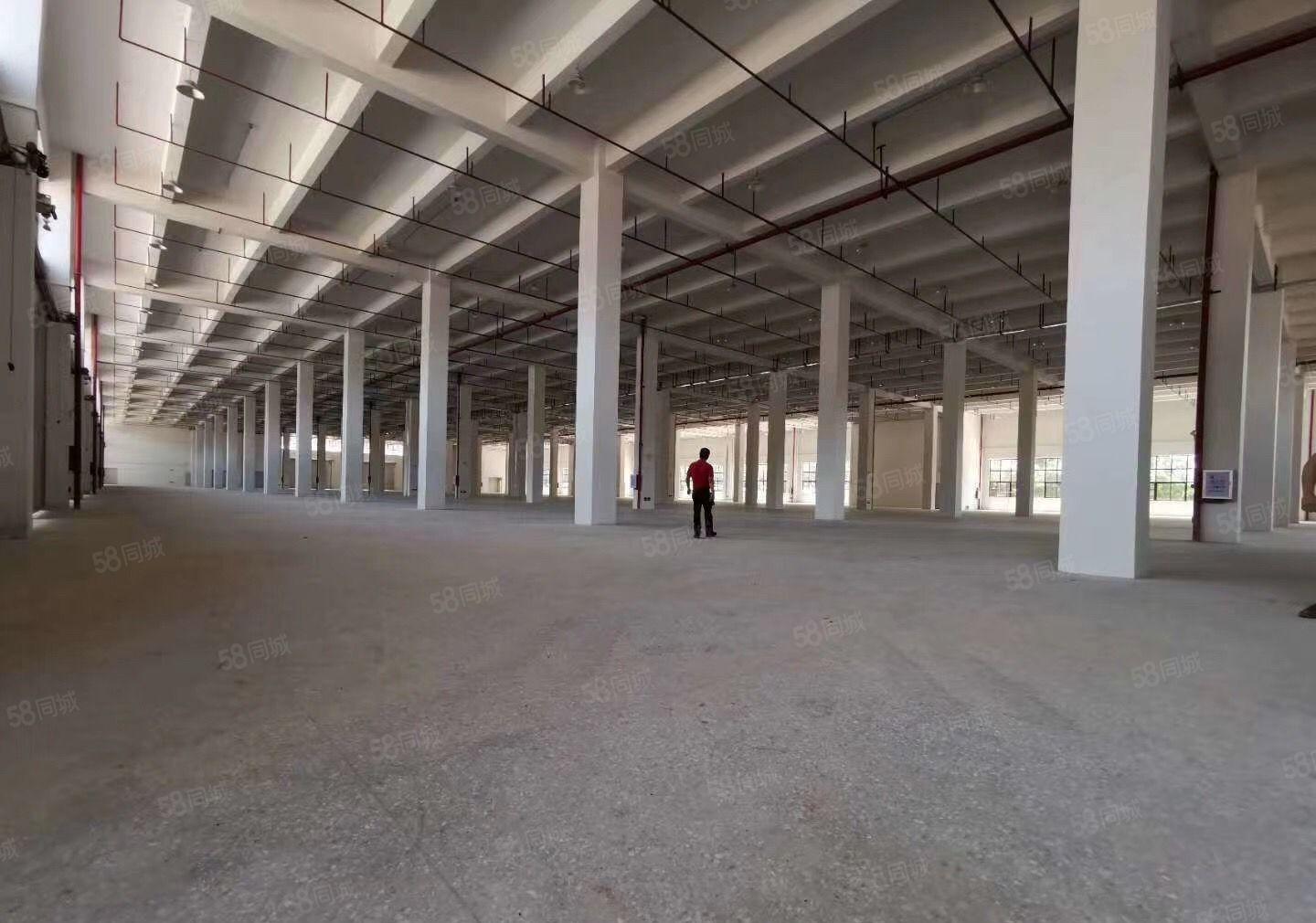 万江石美独门独院标准厂房三层18000平大小可分租