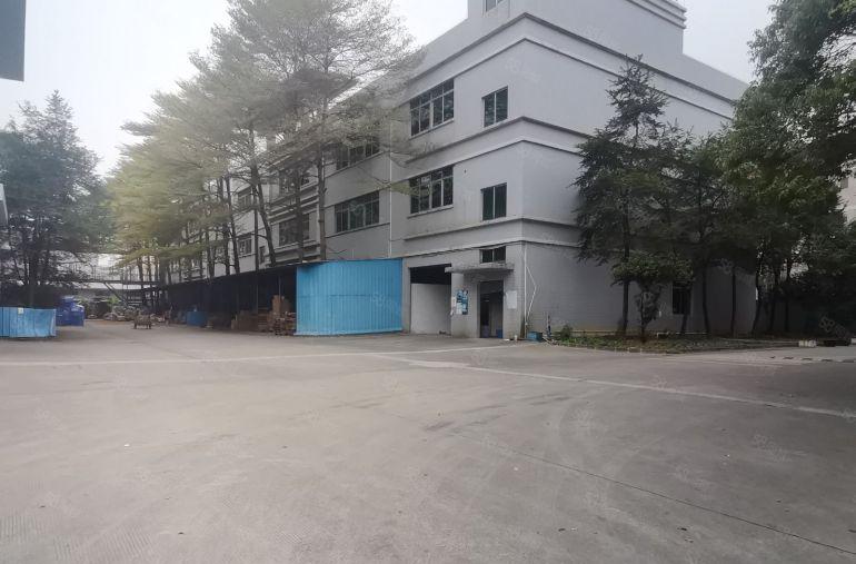 万江新村环城路边高速出口5200平原房东超大空地红本厂房出租