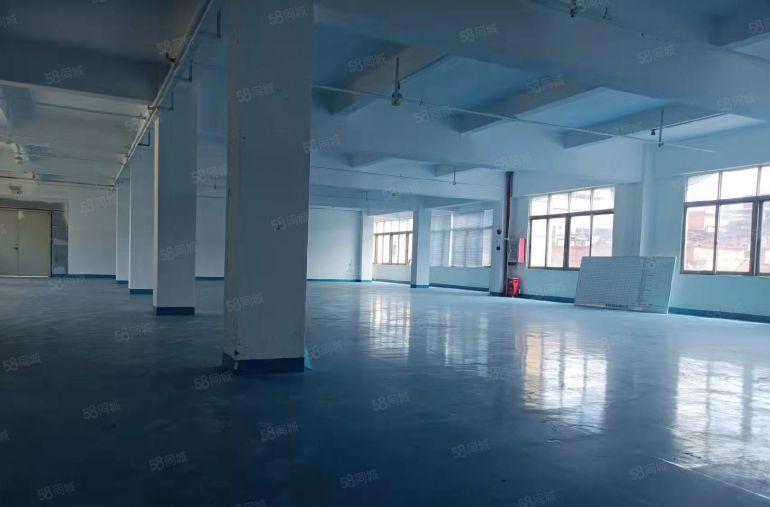 万江简沙洲新出独门独院8300平方厂房出租