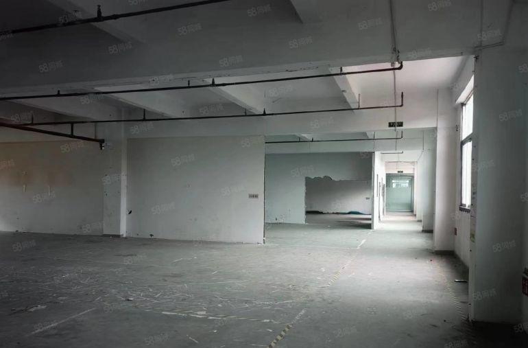 万江独门独院原房东多层厂房出租，厂房形象好，价格优惠