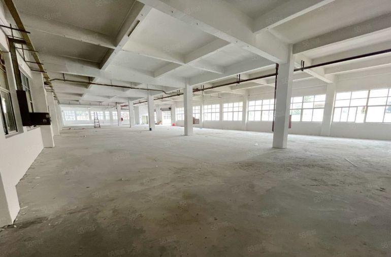 万江独院5700平方标准厂房出租形象好院子大配套齐全