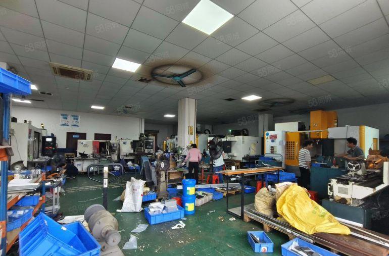 万江新和精装修厂房出租，可做电子仓储直播等行业