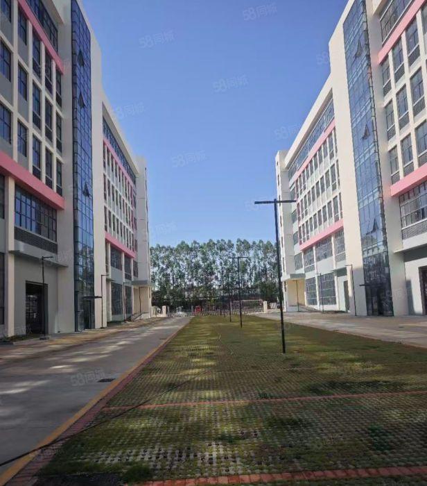 万江大量一楼厂房600平方，1000平方，1500平方