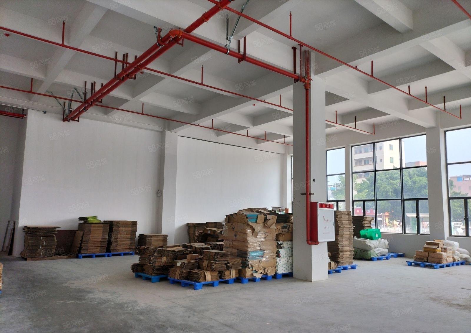 万江标准厂房出租1250平方，电100KVA，现成装修形象好