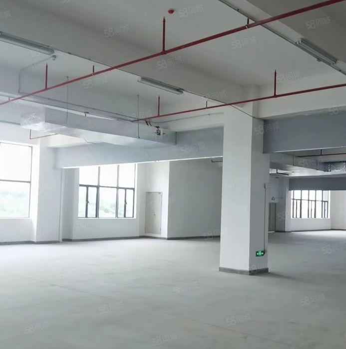 东莞市洪梅镇沿江高速路口附近，独院标准厂房出租，红本双证齐全