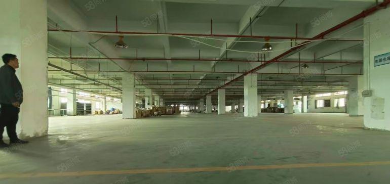 无公摊）8元）万江原房东园区分租2200平方4楼