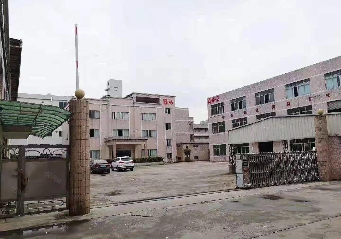 万江新空出标准厂房只要16