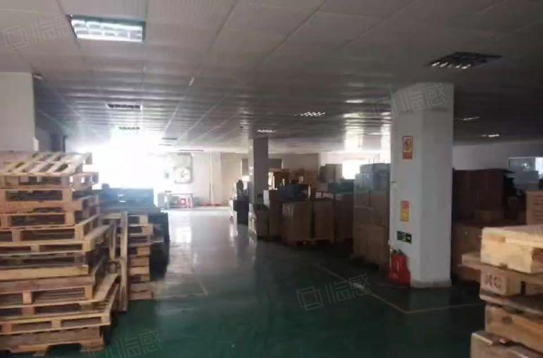 万江新和空出，全新装修，价格便宜厂房出租