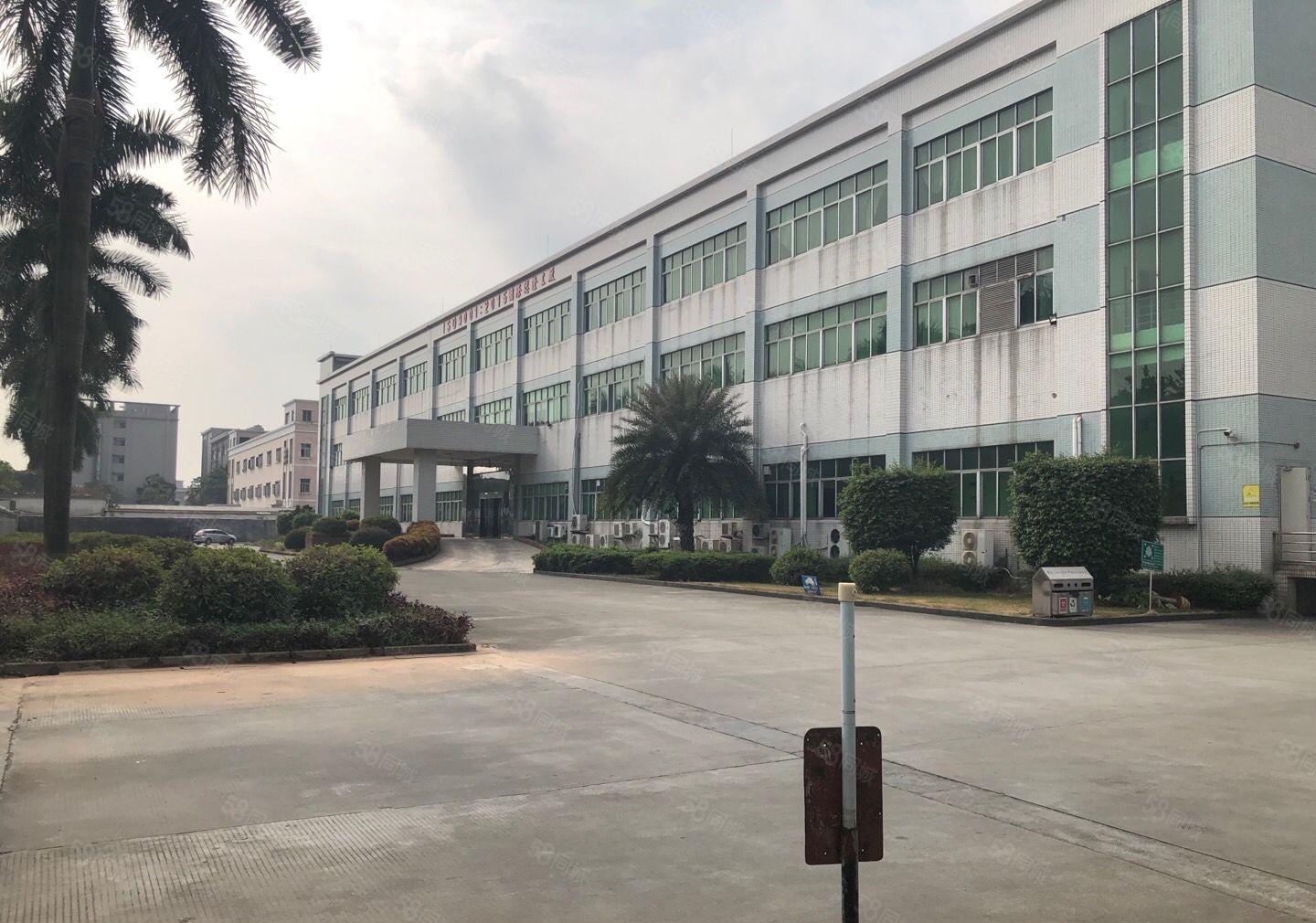 万江石美独门独院标准厂房三层18000平大小可分租