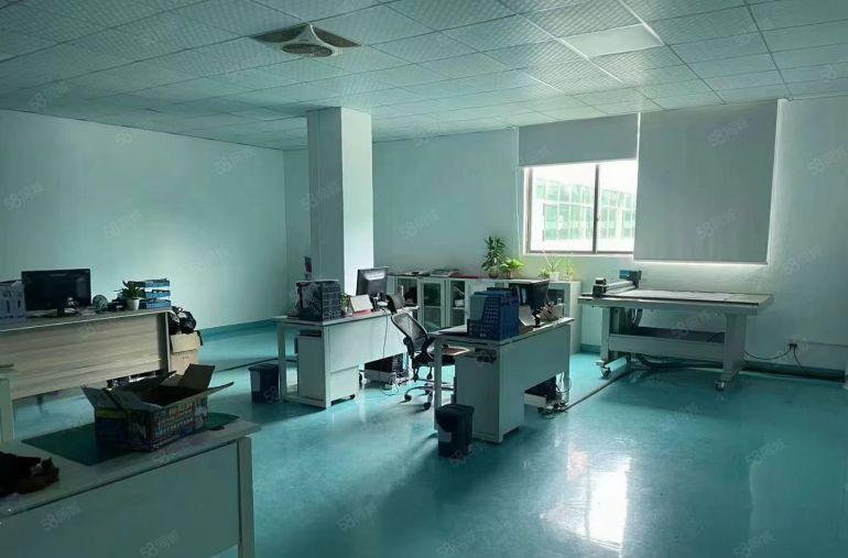 万江新空独院一手房东600至1000平单一层厂房