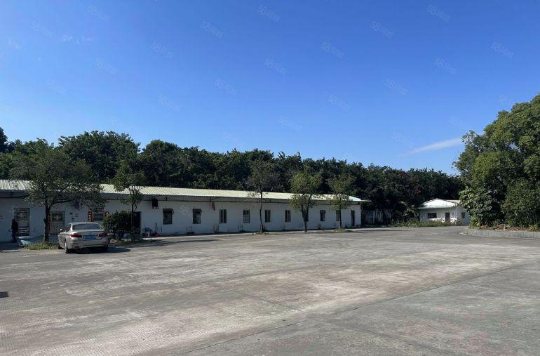 厂房水乡片区万江 原房东独门独院自带印刷环评超大空地的的厂房