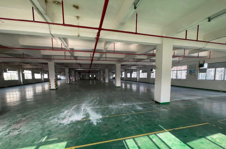 万江滘联原房东整栋5500平方标准厂房出租配套完善配电大