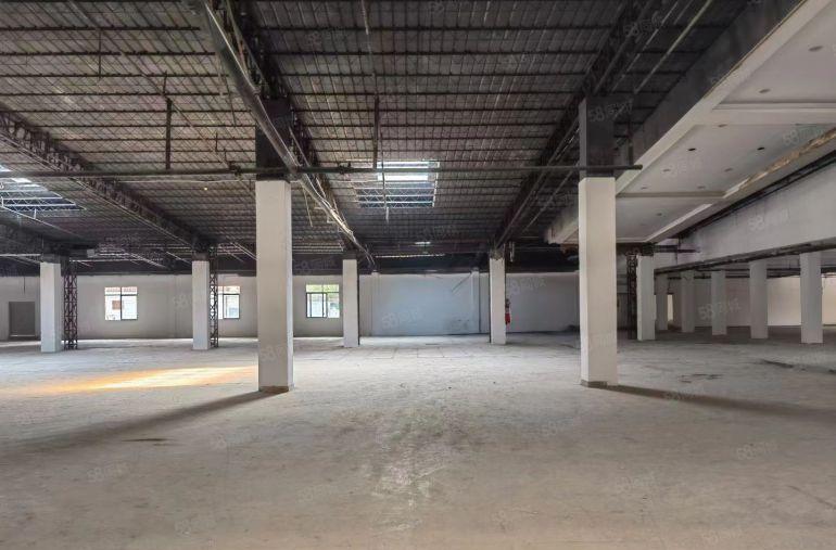 万江单层独院钢构3000平厂房出租 滴水8米，可做仓库物流园