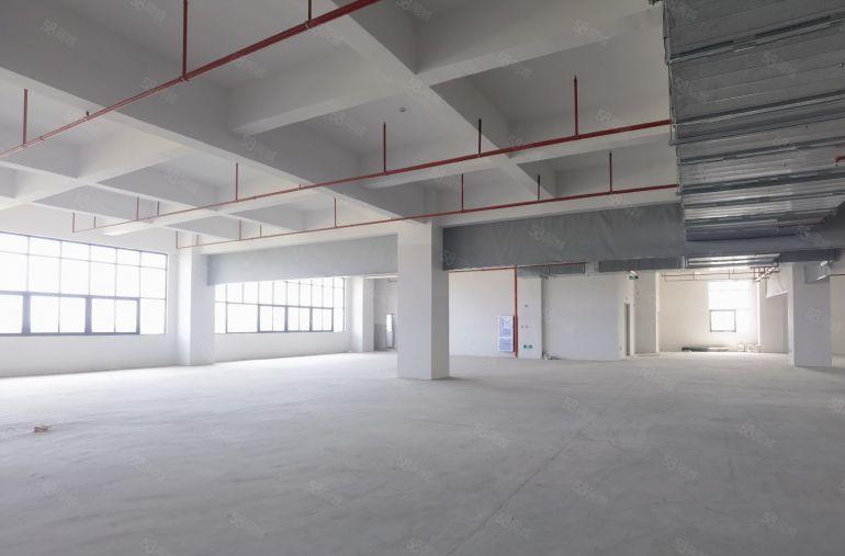 万江107国道边出租一手房东自建标准厂房，全新，一楼6.5米